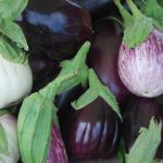 aubergines