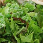 mesclun